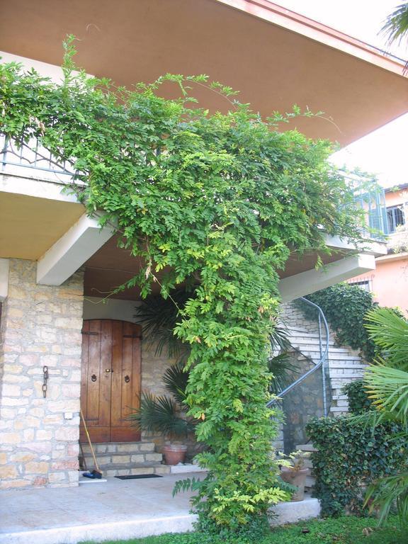 Villa Patrizia Torri Del Benaco Exterior photo